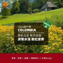 炐ȁMrׯ@ˮϴۼtԾƷ2024®a