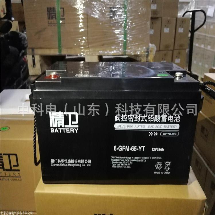 长沙科华蓄电池12V65AH 蓄电池6-GFM-65-YT 免维护铅酸电池直流屏