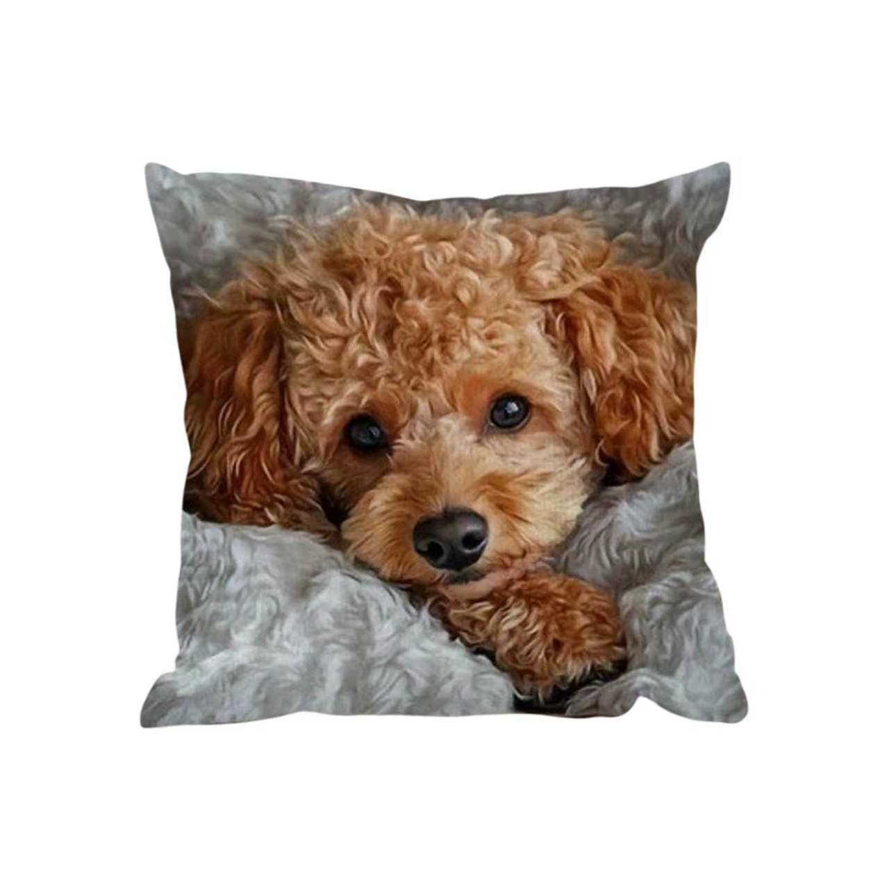 Explosiones transfronterizas bonitas y interesantes animales al aire libre impermeables almohada para jugar con teléfonos móviles para decorar la fiesta de gatos y gatos en la sala de estar sofá almohada