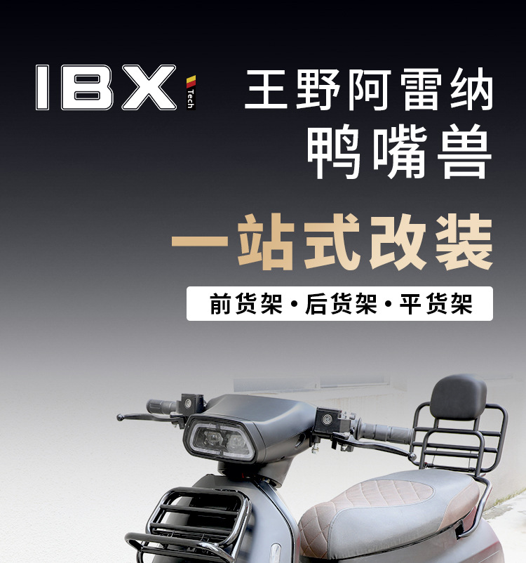 Suitable for Wangye Arena Platypus Windshield Scooter Modification Rack Flat Rack Rear Backrest