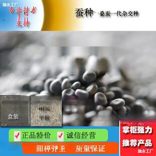 �����r����B�Q�N�Q���Q�����Q�N�����a�߮a���������N�������Ӄr