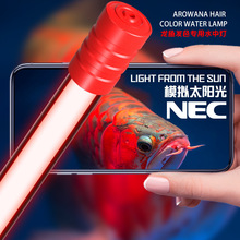 NEϵ�t������ɫˮ���^�p�~��ˮT8��ˮ 6700k����ɫ�~�ן� NEϵ��