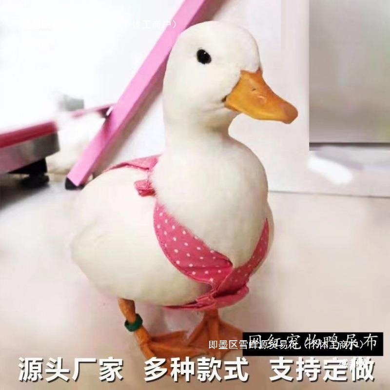 Diaper Pants Pet Diapers Duck Cole Duck Independent Stand Pet Clothing Diaper Supplies Diaper Chicken Paper Versatile Goose