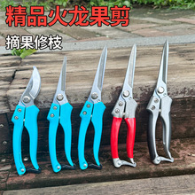 剪枝果树修枝剪刀园艺园林修花枝剪火龙果剪葡萄剪刀花剪剪枝剪刀