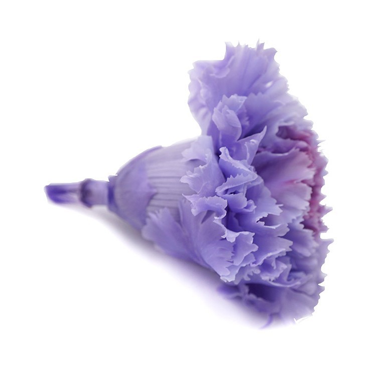 Venta directa de fábrica flor eterna material 4-5cm de dos colores Clavel flor eterna material de bricolaje