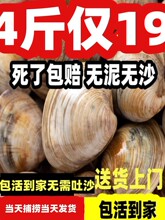 4���b�oɳ�r����ؐ���������r���۴󻨼״�����r��l؛�����