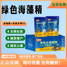 ø�⺣�徫���������~����r�Iԭ���߲˷Nֲ�����������徫