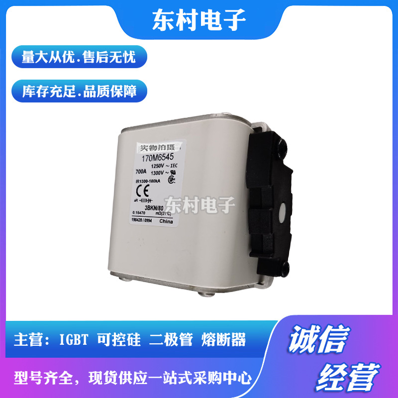 熔断器全新170M6594 170M6595 170M6596 170M6597/6598/6599现货