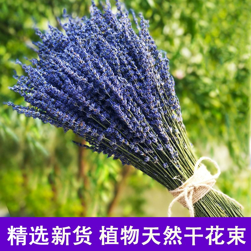 Букет из сушеных цветов лаванды, настоящие цветы, украшения для гостиной, весенний фестиваль, модный букет, сушеные цветы Ins, настоящие цветы оптом