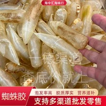 厂家批发海味干货85头蜘蛛胶母胶鱼胶花胶营养滋补胶原蛋白食材
