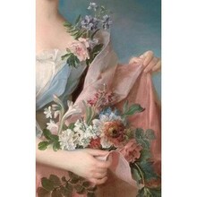 8740#��֦�������L�۹�ĵ����ɫ�̽��͹ž���������ɫ�o������