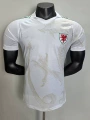 26-27 wales away game