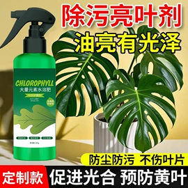 防虫防蛀;油污清洁剂;衣物清洁护理