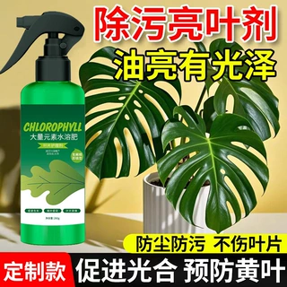 叶绿素 植物园艺叶面肥护理剂通用营养液 绿叶促生长免稀释花肥