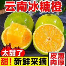 正宗云南冰糖橙新鲜橙子应季孕妇水果果冻橙手剥冰糖甜橙包邮代发