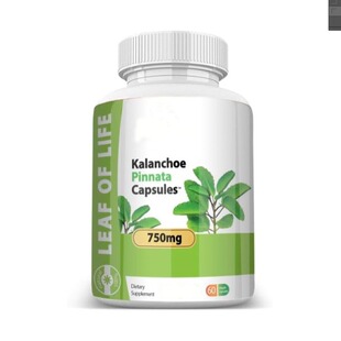 �����m�z�� Kalanchoe Pinnata-Leaf capsules Դ�^�S�� �羳ֱ��