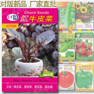 �tţƤ�˷N�� �s40�� �t�~����q�R�����~�t�~���_�˺�ϲ˺�Ƥ��