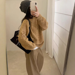 秋冬宽松慵懒韩系套头毛衣棕色2025秋冬小个子高级加厚上衣G1550