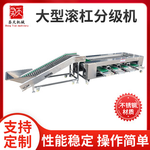 大型滚杠分级机带提升不锈钢分拣机不伤果土豆洋葱圣女果分选机-阿里巴巴