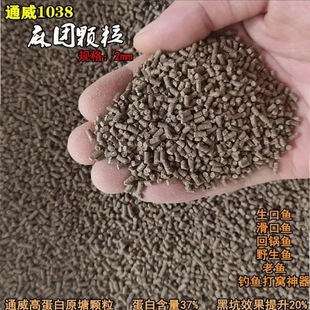 Ma Tuan Granules Tongwei 1038 Fish Feed Original Pond Granules Carp Crucian Carp Fish Black Pit Reservoir Fishing Bait Nest Material Wholesale
