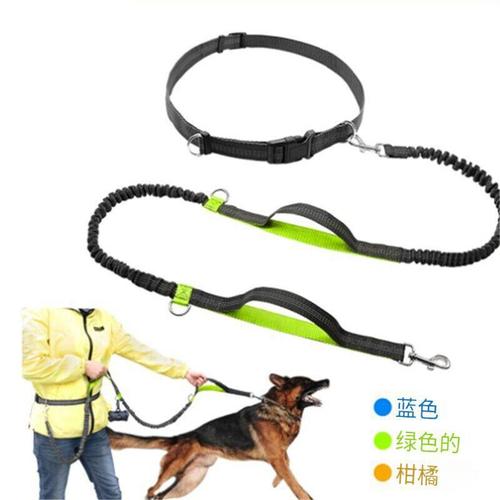 Belt Harness Leash Dog Walking Rope Multifunction Running Harness Rope Pet Harness Elastic Rope Pet