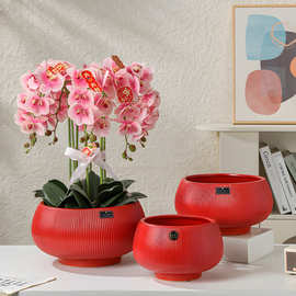 蝴蝶兰专用花盆大口径陶瓷花盆容器家居阳台绿植盆红色陶盆花艺