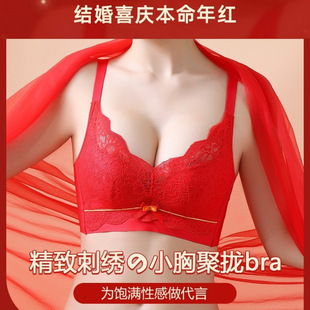 �������Ї��t����Ů�Y��ϲ�c��t�񱡿��x�۔n�o�Ȧ�{����������