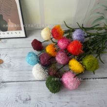 ���l�ָ�ܛ�z�ٻ��b[�����s�L�ҾӲ廨����Gë����滨�Gʯ��