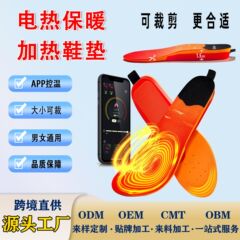 跨境冬季usb充电加热鞋垫可裁剪男女通用APP温控充电式加热鞋垫