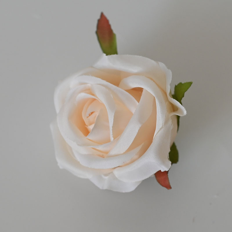 Rosas preciosas, champán claro