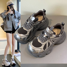 2025ЬٴinsWŮʿ＾͸ϵЬe\Ь¿