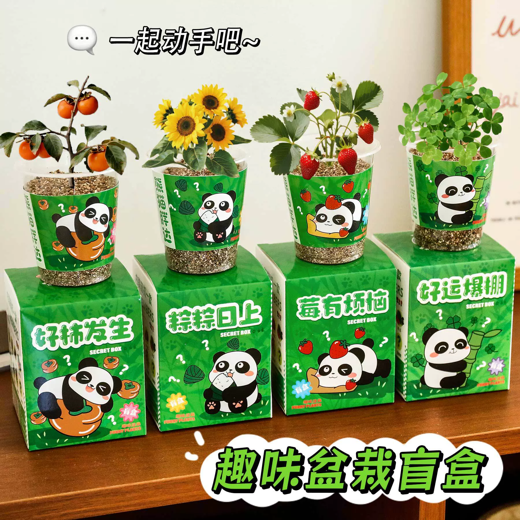 可爱熊猫种植盆栽盲盒幼儿园桌面植物绿植摆件小学生开学小礼品