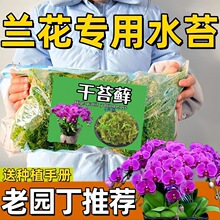 ��̦�\ˮ̦�����mˮ̦�m������̦�\ʯ���Q������ʯ����Ȼֲ��