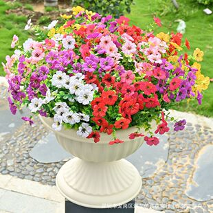 �����ȼ������_�m���m������������������@�b��滨�����m