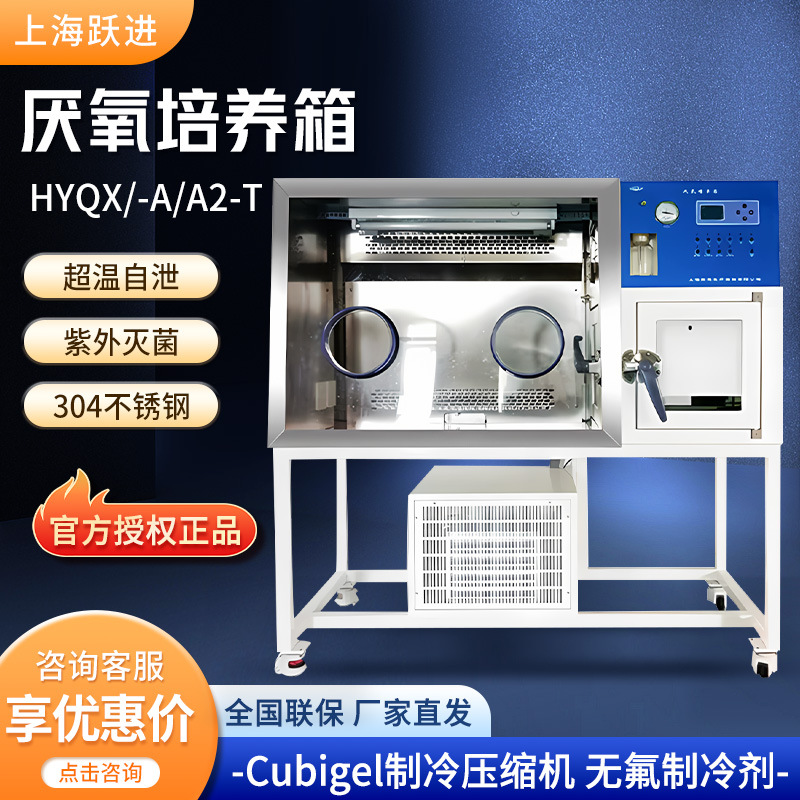 上海跃进 HYQX-I厌氧培养箱 厌氧生物培养箱 厌氧手套箱操作箱