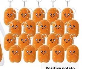 2025�¿�ɐۄ���������ż�F�T���д��������Ϸ�С�������б����N