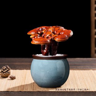 灵芝盆景活体赤灵芝盆栽野生办公室食用天然小盆栽室内植物送礼Sg-阿里巴巴