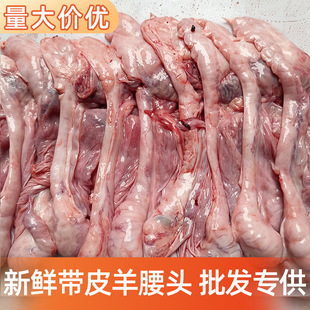 �B�w�����^���r���I�^���^��Ƥ�����{����غ������������