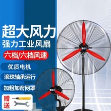 ���]���I��L�ȏ�������ȴ��L�������Ò��ʽ���ʓu�^����ȩţ