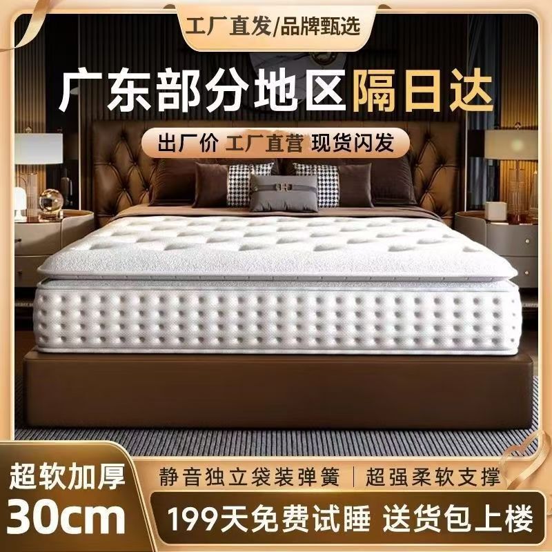 Top 10 Famous Hilton Five-star Hotel Spring Mattress Soft and Hard Dual-purpose Independent Spring Latex Coconut Thickened