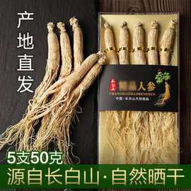 干人参东北特产长白山人参干参生晒参礼盒装批发产地直发正品白参