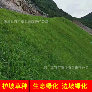 �o�·�ˮ����ʧ�ݷN��Wֲ���o�µVɽ�;G�m�˵Ĳ��ѻ�ϲݷN��