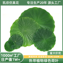 ������~�W�t�͏d���b[�P�b����ϟ������rˮ���|���߲���⴮