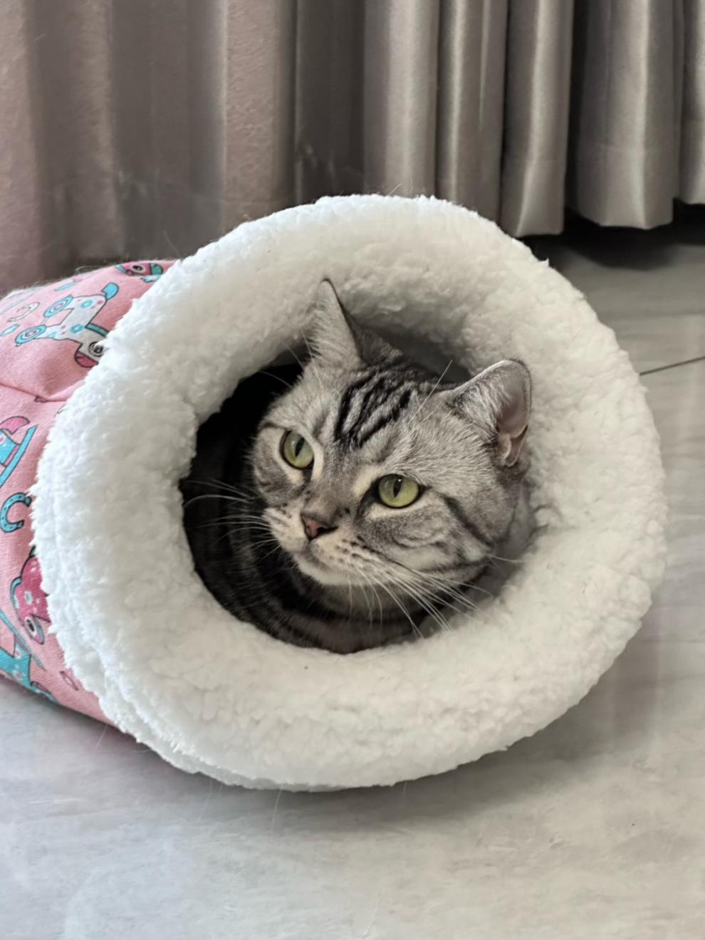 7de9c9fb-c0f7-4acb-84d5-dfff88970b53.jpe