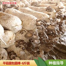 �������rƽ��Ģ���Nֲ����6��ƽ���������N������Nֲƽ��������