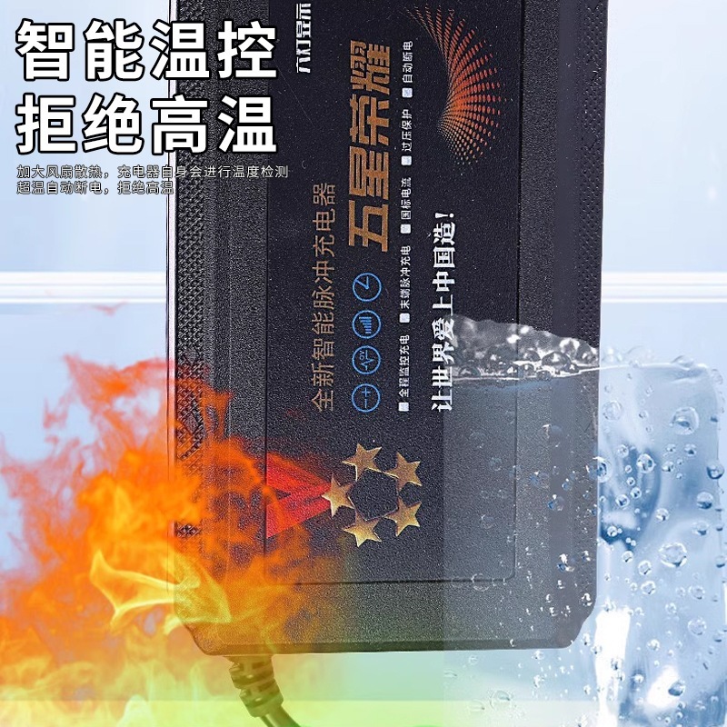 鉛酸電池充電器電気自動車60v充電器1個6灯表示電力量|undefined