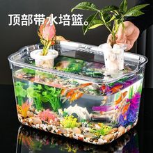 花盆鱼缸一体塑料透明带盖客厅办公室桌面装饰摆件水土培金鱼缸