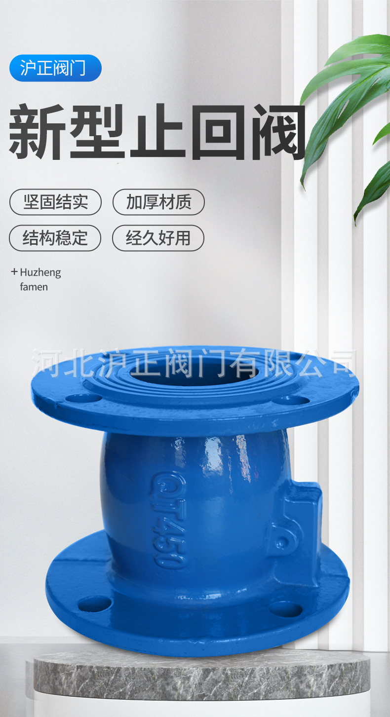 新型止回阀-详情_01.jpg