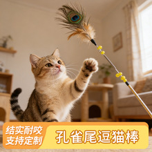 ���ɶ�؈����ë������؈���ߏ�����׃���L�U��ȸë��؈��؈�����