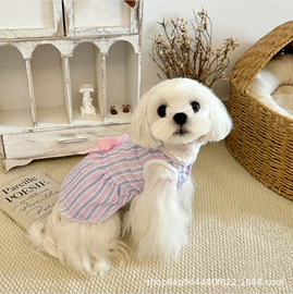 狗狗玩具;狗狗服装;宠物鞋靴